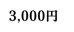 3 000円